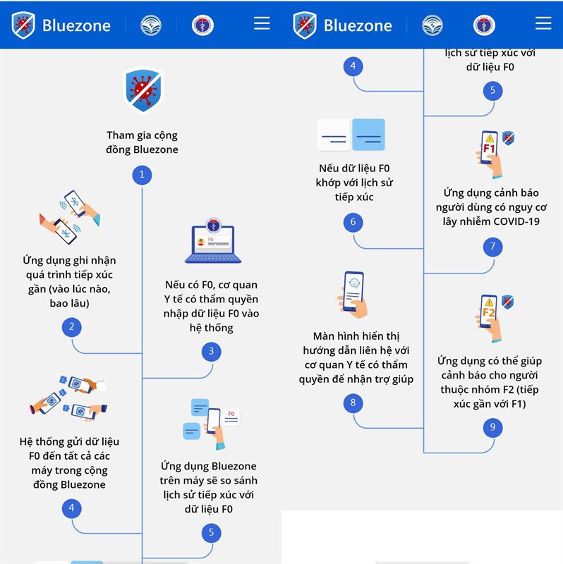 bluezone2 1716x1720 800 resize
